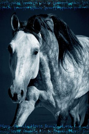 男装印花华亿平台图片