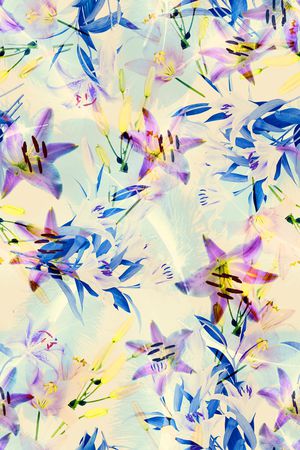 羽毛印花华亿平台图片