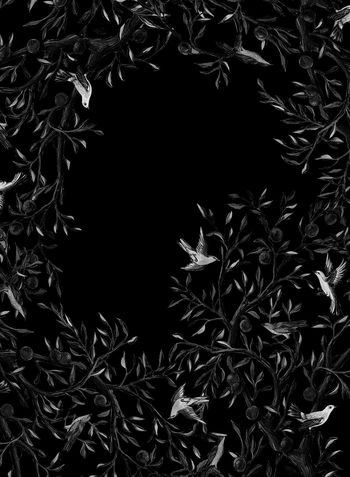 937015-小鸟-黑白