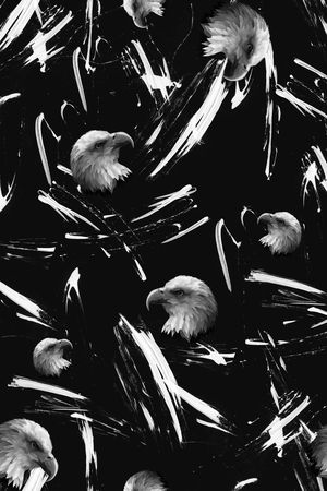 老鹰印花华亿平台图片