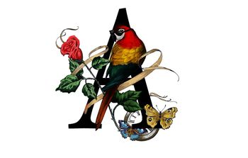 男装绣花印花华亿平台图片