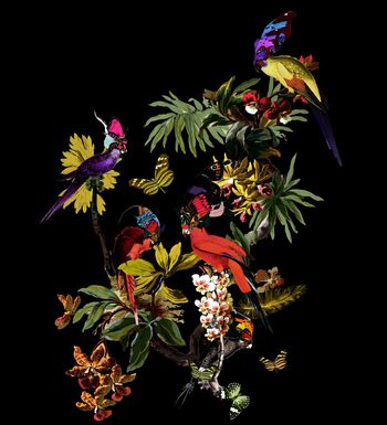 男装绣花印花华亿平台图片