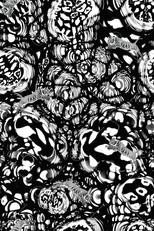 豹纹印花华亿平台图片