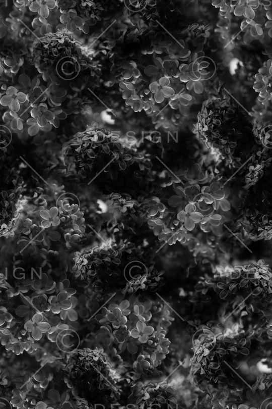 小碎花印花华亿平台图片