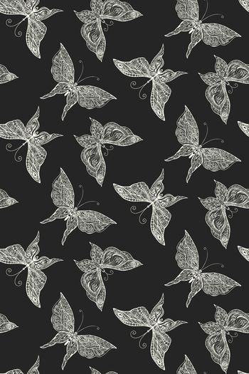 937409-抜印 蝴蝶--2