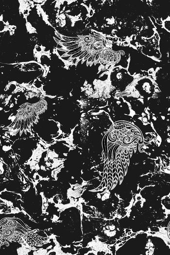 937533-抜印 抽象纹理 肌理 羽毛