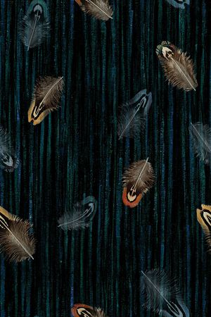 羽毛印花华亿平台图片