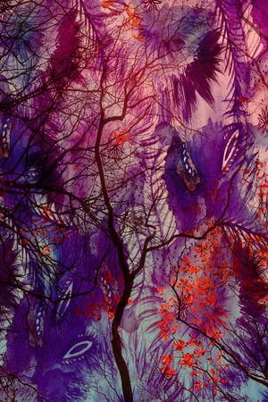 数码华亿平台印花华亿平台图片