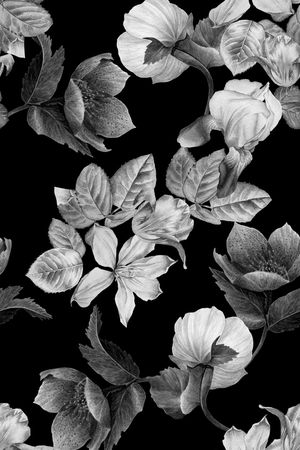 植物印花华亿平台图片