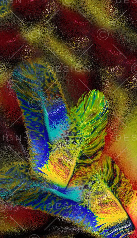 羽毛印花华亿平台图片