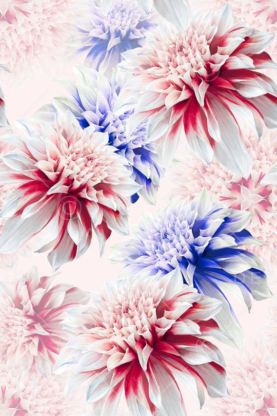 少女印花华亿平台图片