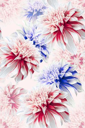 少女印花华亿平台图片