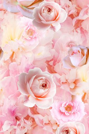 大花印花华亿平台图片