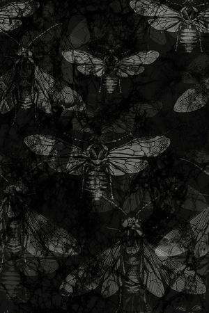 黑底花卉印花华亿平台图片