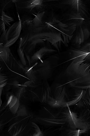 黑白华亿平台印花华亿平台图片