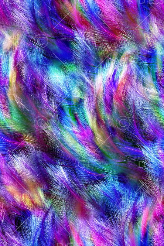 羽毛印花华亿平台图片