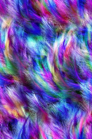 羽毛印花华亿平台图片