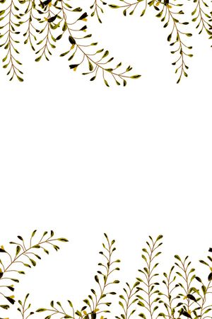 手绘花卉印花华亿平台图片