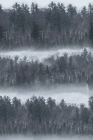 风景定位印花华亿平台图片