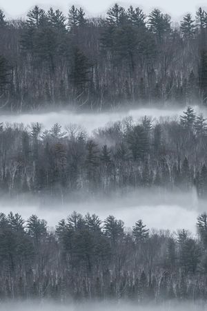 风景定位印花华亿平台图片