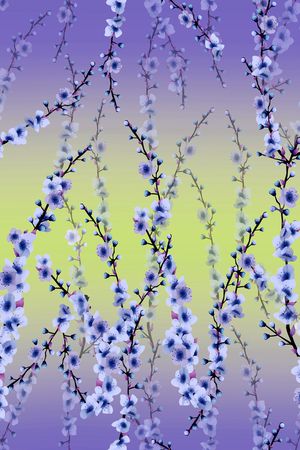 渐变印花华亿平台图片