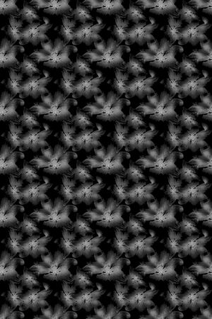 男装印花华亿平台图片