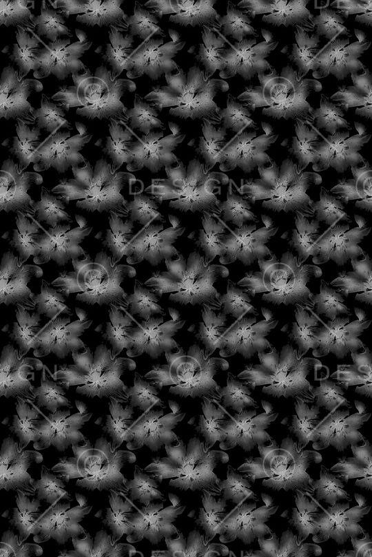 男装印花华亿平台图片