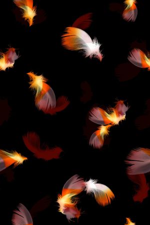 黑底花卉印花华亿平台图片