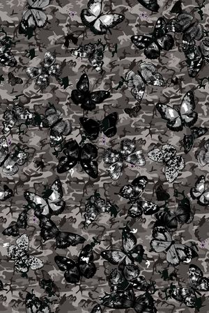 butterflies印花华亿平台图片