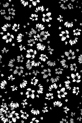 942619-171009-11608-nzzt