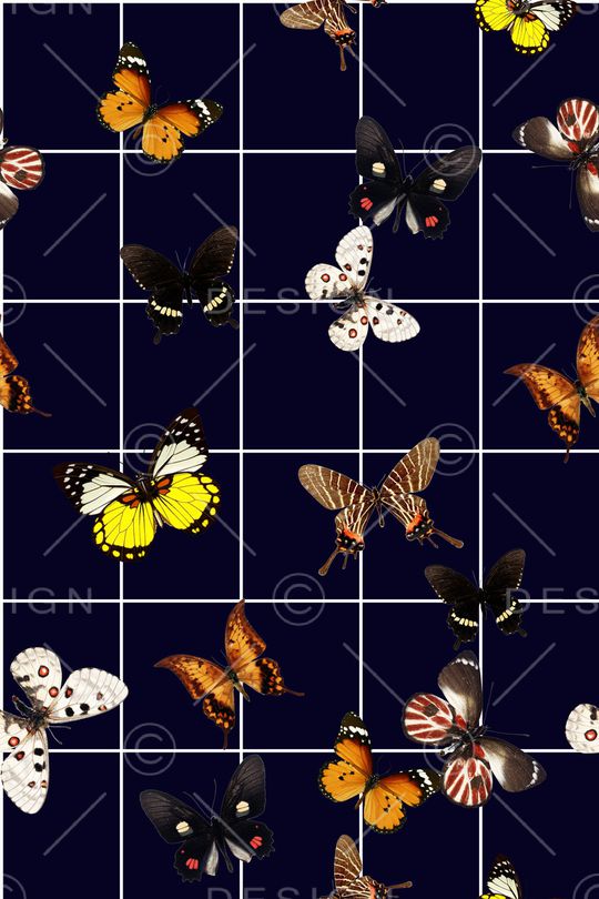 格子印花华亿平台图片