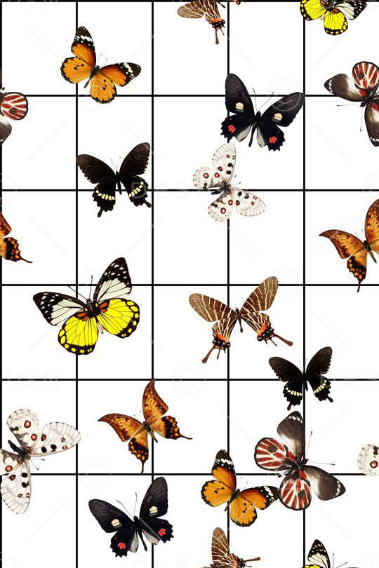 格子印花华亿平台图片