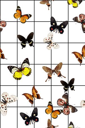 格子印花华亿平台图片