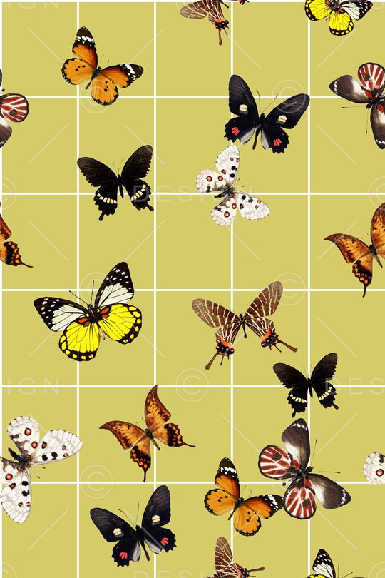 格子印花华亿平台图片