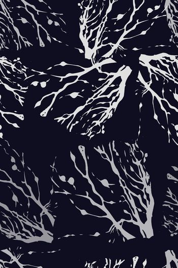 942841-171009-11608-nzzt