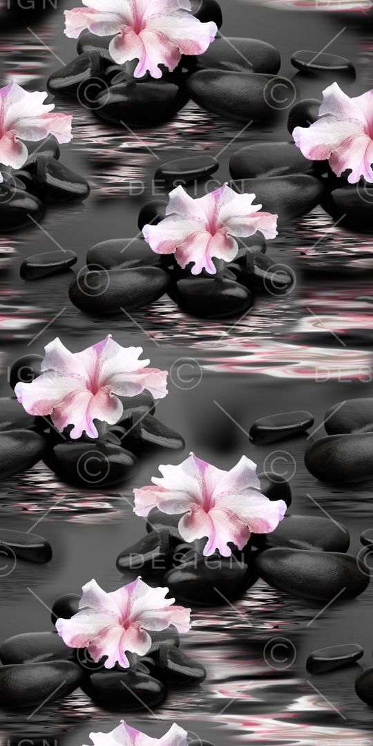 女装印花华亿平台图片