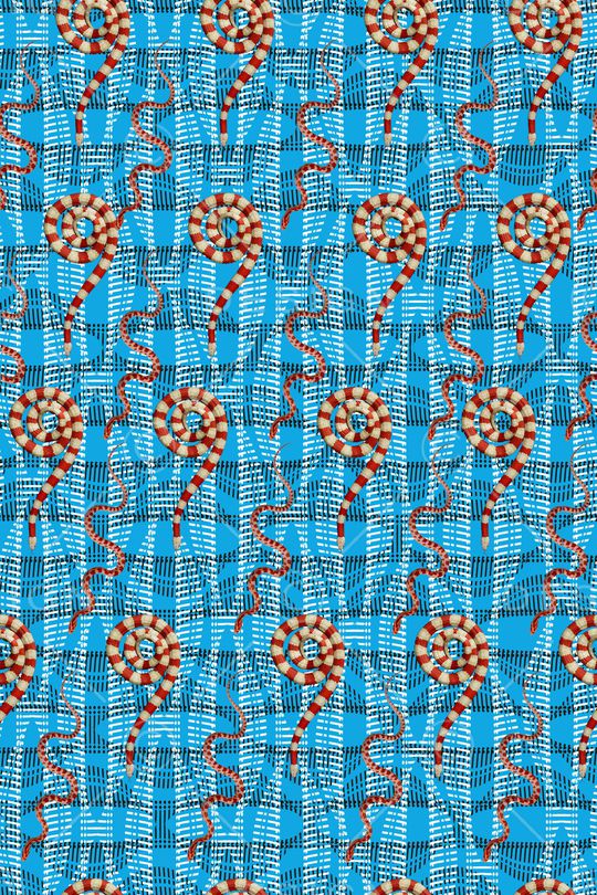 蛇印花华亿平台图片