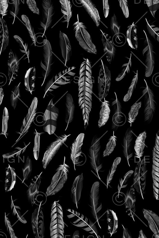 羽毛印花华亿平台图片