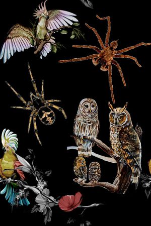 动物花卉印花华亿平台图片