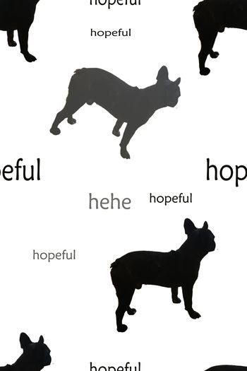 字母印花华亿平台图片