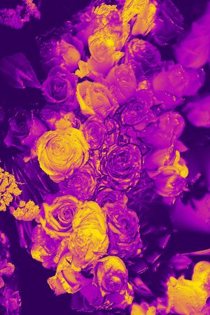 艺术印花华亿平台图片