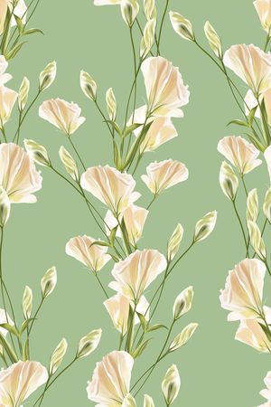 淑女印花华亿平台图片