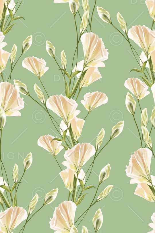 淑女印花华亿平台图片