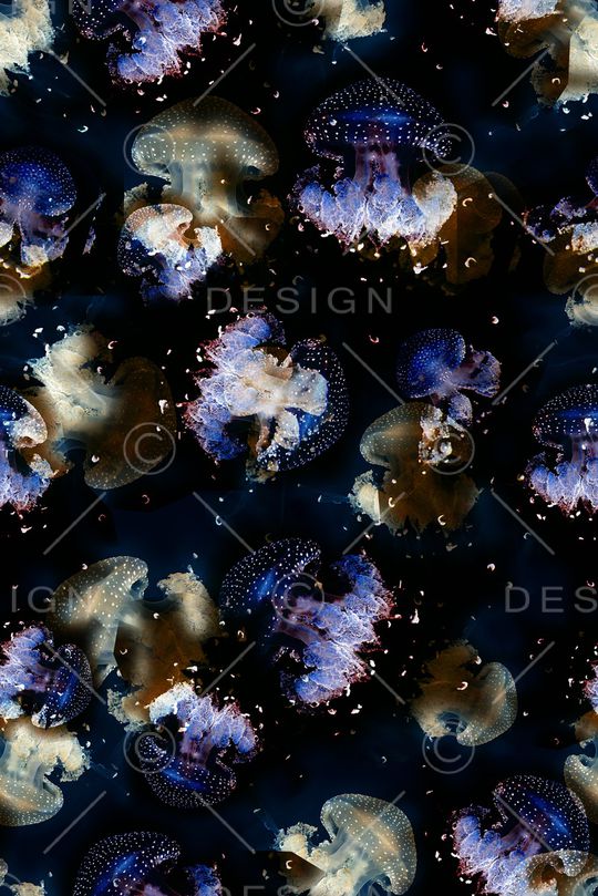 水母印花华亿平台图片