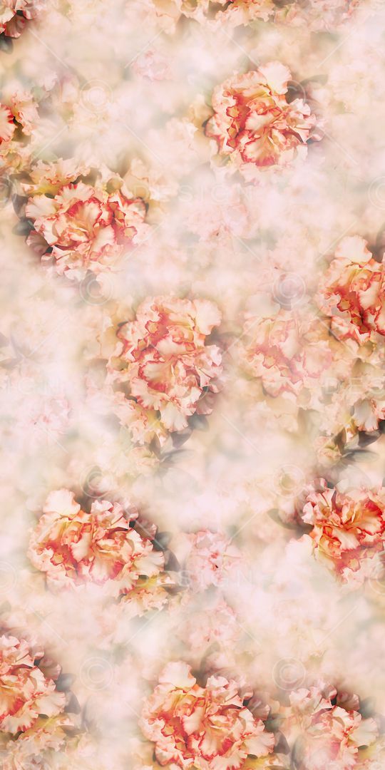 照片花卉印花华亿平台图片