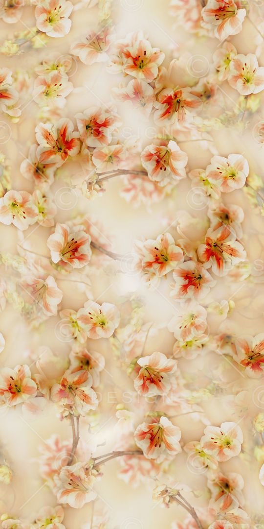 照片花卉印花华亿平台图片