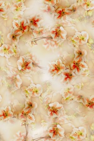 照片花卉印花华亿平台图片