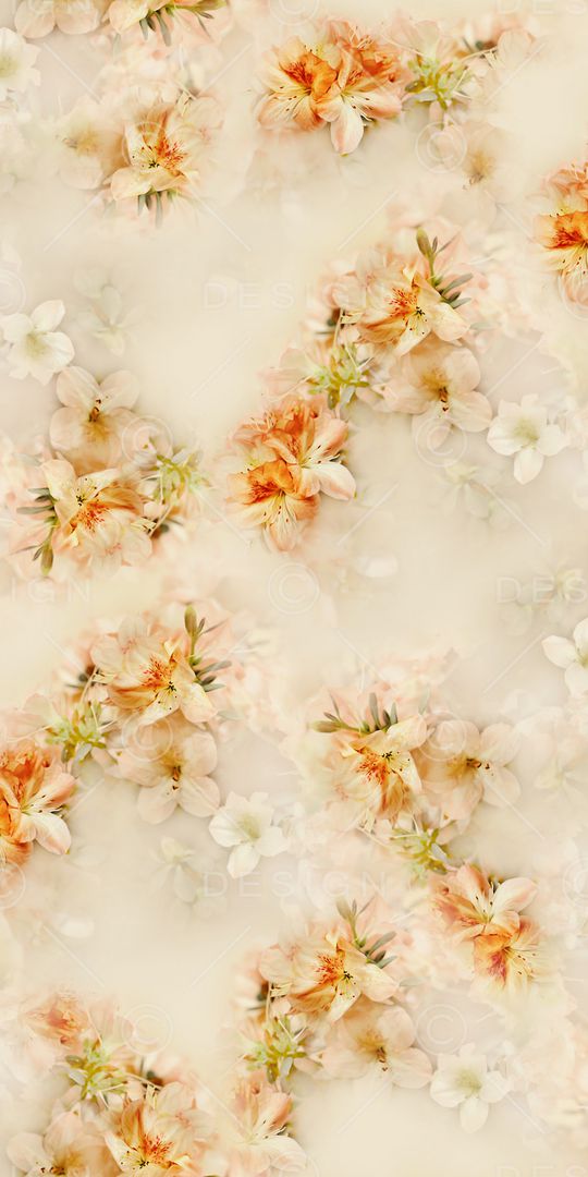 照片花卉印花华亿平台图片