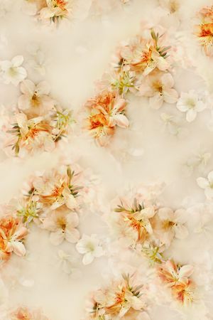 照片花卉印花华亿平台图片