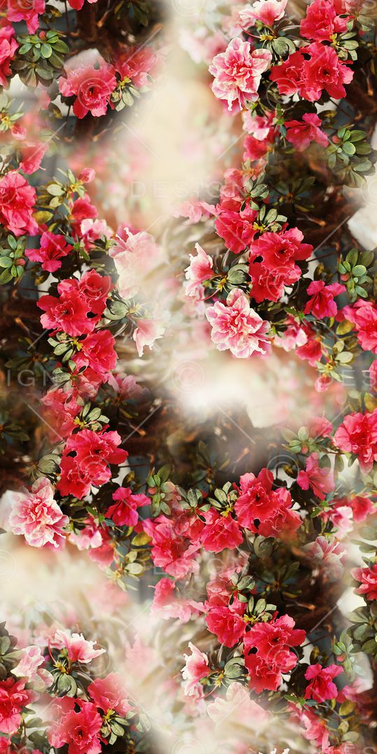 照片花卉印花华亿平台图片